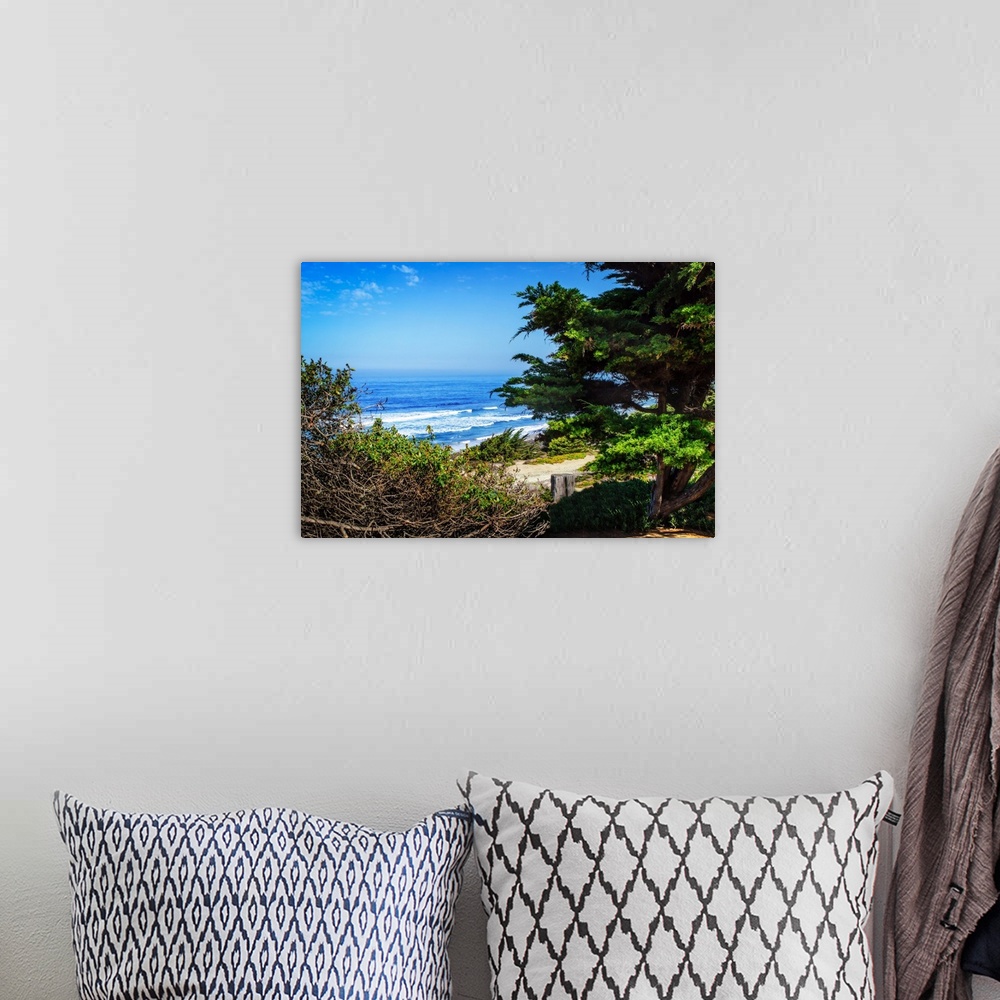 A bohemian room featuring Landscape photograph of the Pacific Ocean and shore from behind green coastal vegetation.