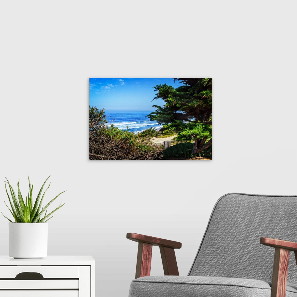 A modern room featuring Landscape photograph of the Pacific Ocean and shore from behind green coastal vegetation.