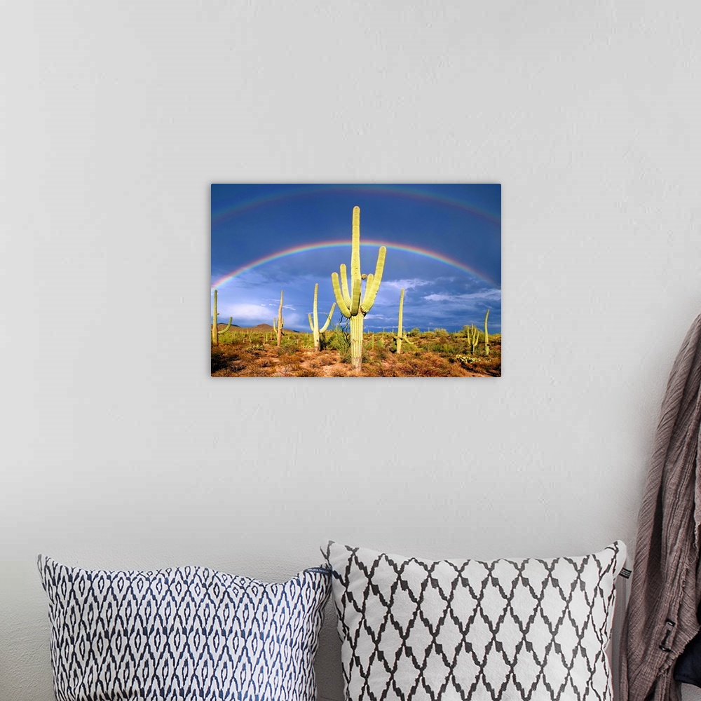 A bohemian room featuring Photograph of a double rainbow over a desert full of cacti.