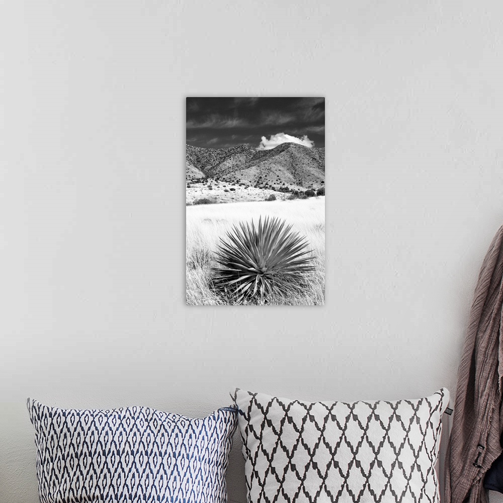 A bohemian room featuring Desert Grasslands II - Black and White