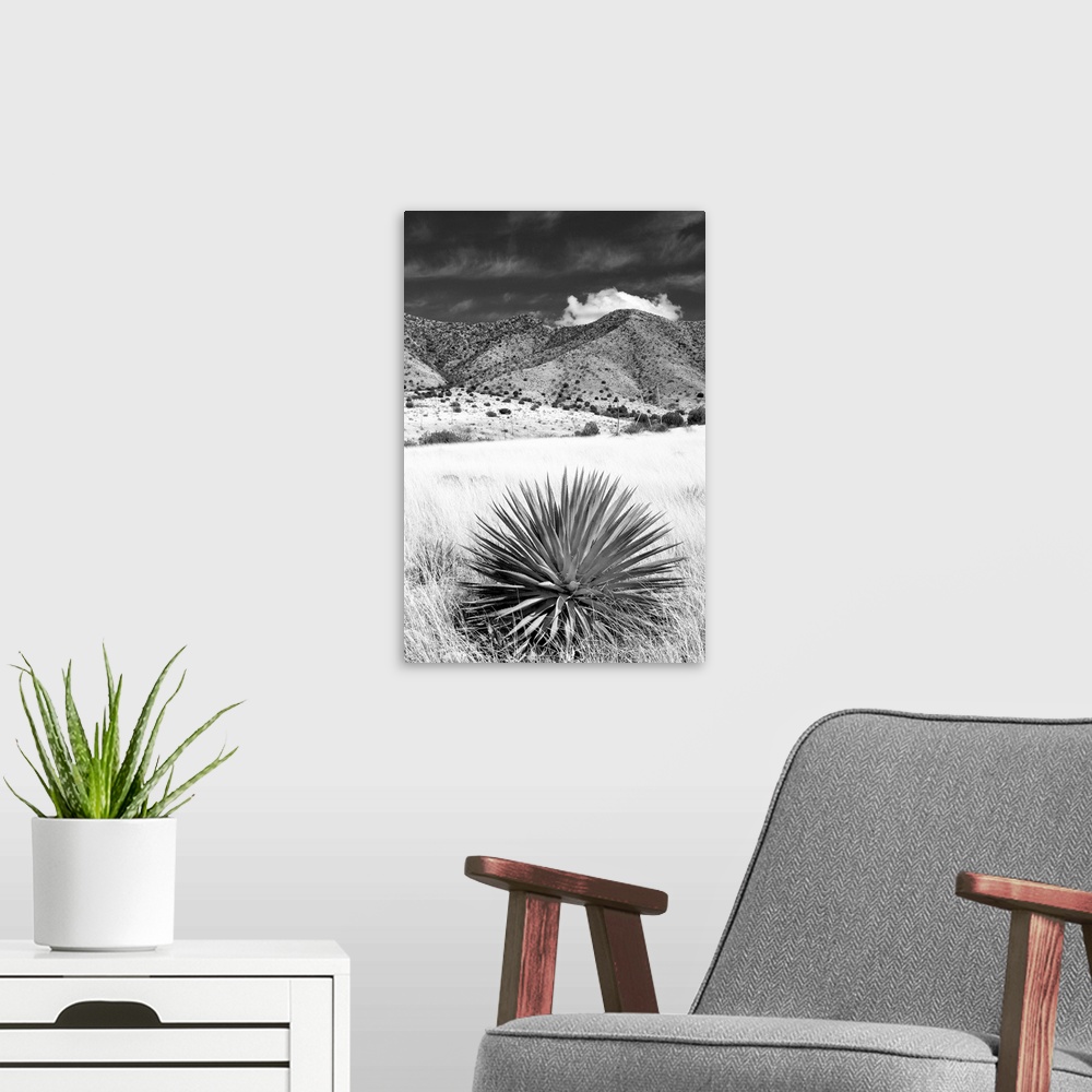 A modern room featuring Desert Grasslands II - Black and White