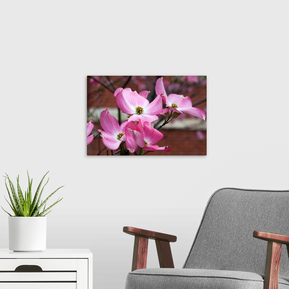 A modern room featuring Dogwood Blossoms I