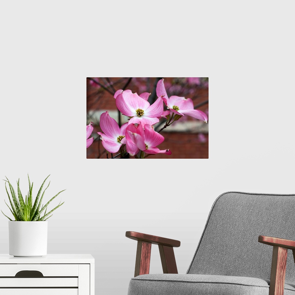 A modern room featuring Dogwood Blossoms I
