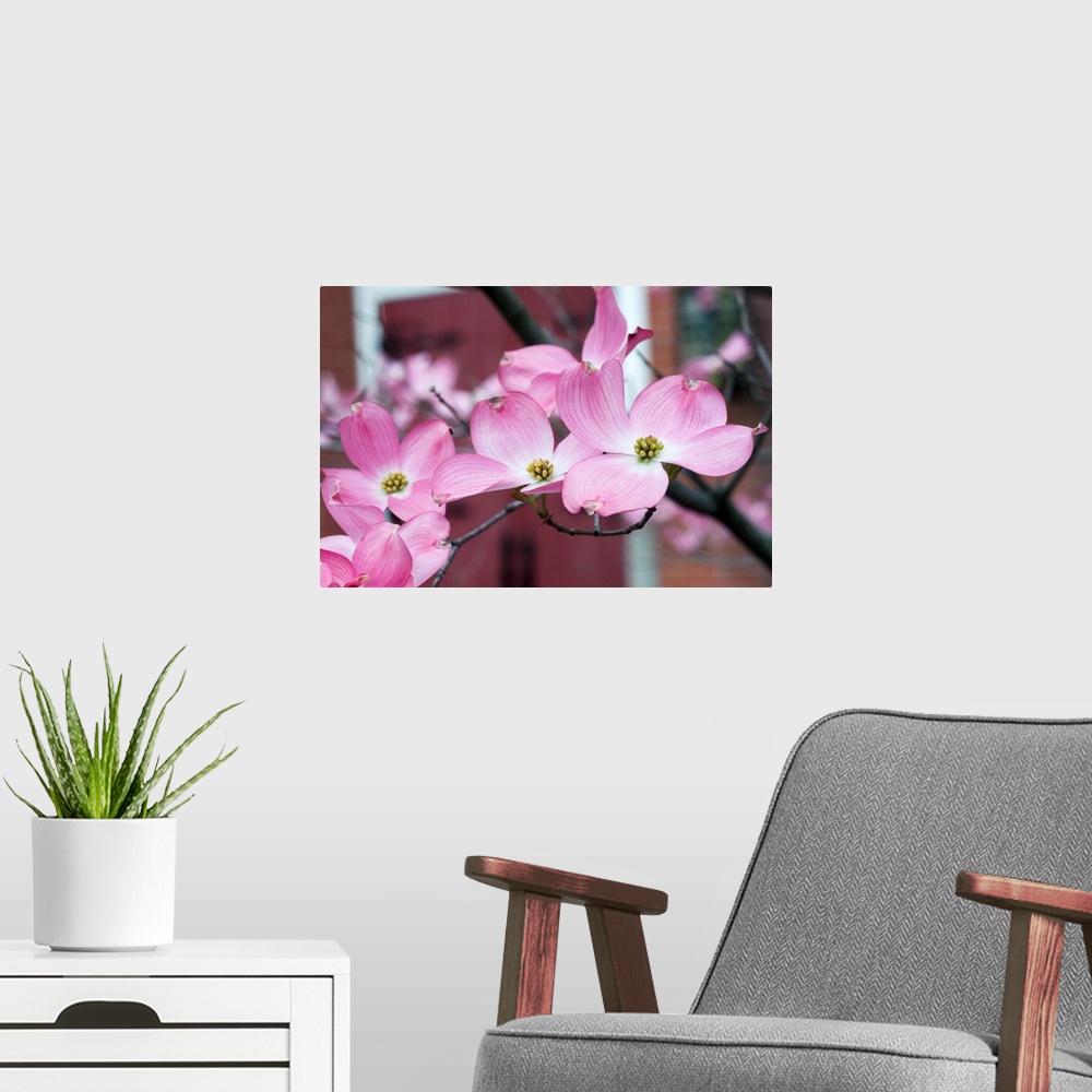 A modern room featuring Dogwood Blossoms II