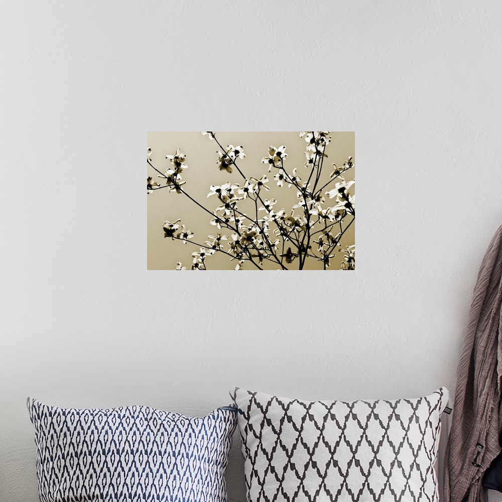 A bohemian room featuring Large photograph centers on the budding branches of a tree against a bare background.