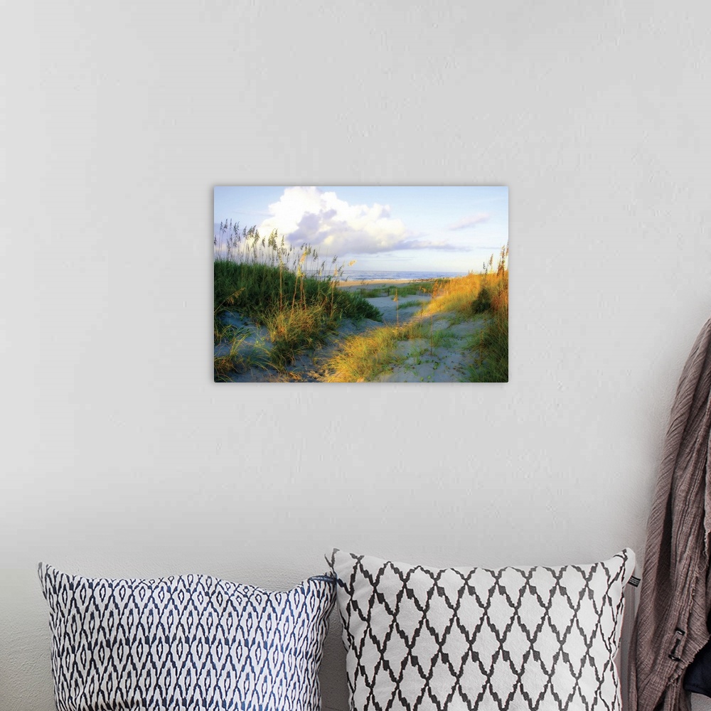 A bohemian room featuring This big wall art picture shows a pathway through the grass covered dunes down to the sandy beach...