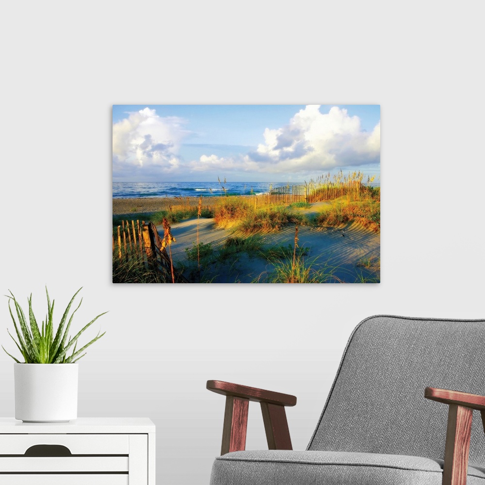 A modern room featuring Big photograph of a dune on a beach surrounded by high grass and sections of fencing.  In the bac...