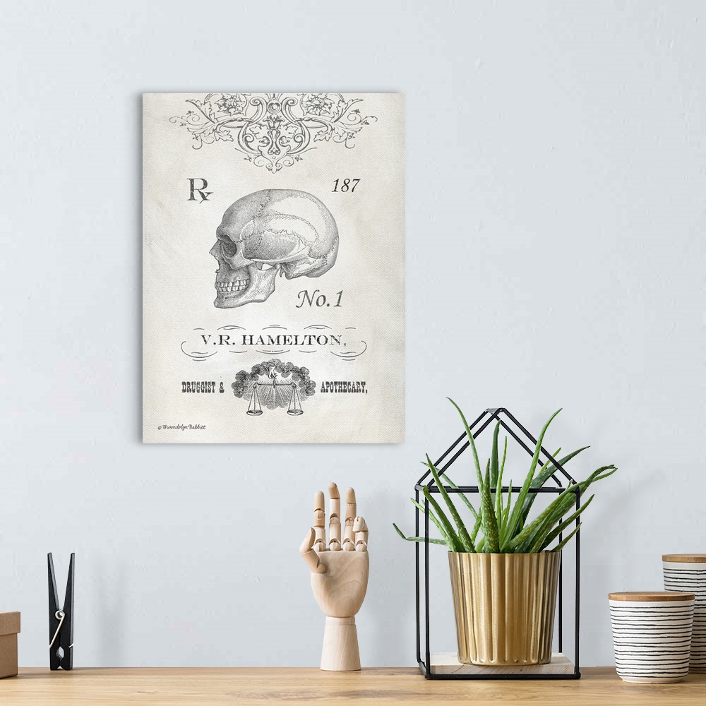 A bohemian room featuring Vintage druggist and apothecary illustration with a skull in the center.