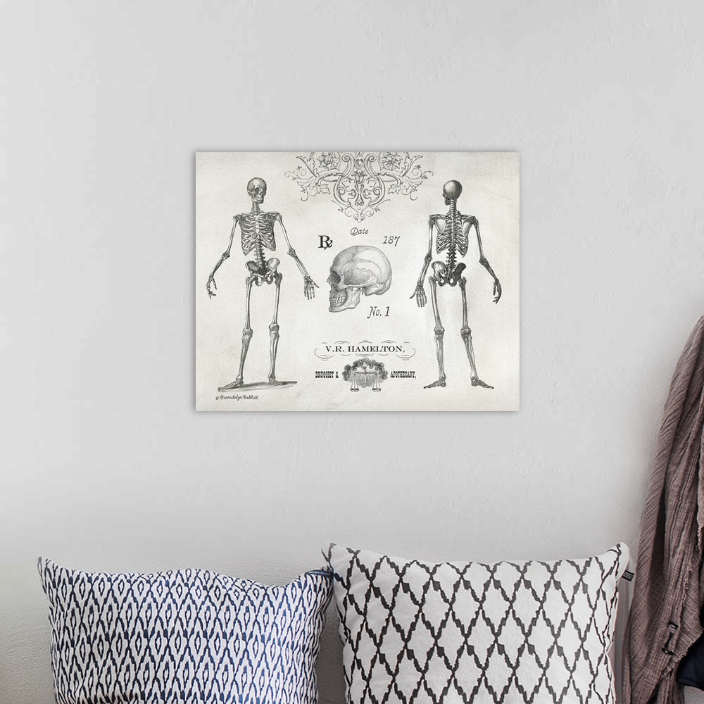 A bohemian room featuring Vintage black and white illustration with the front and backside of a skeleton and a skull.