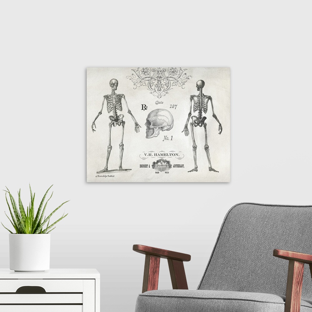 A modern room featuring Vintage black and white illustration with the front and backside of a skeleton and a skull.