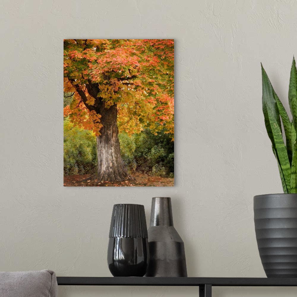 A modern room featuring Fall Maple Fever I