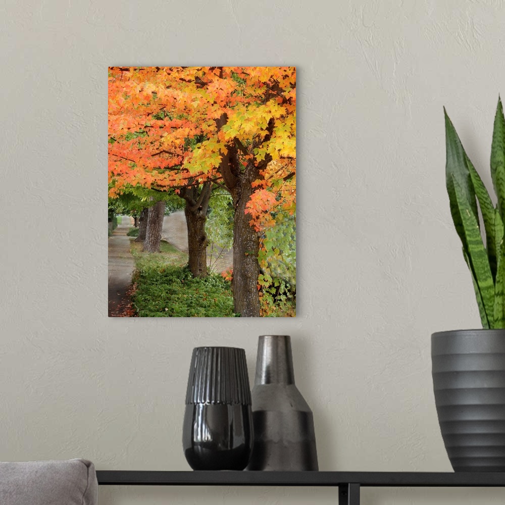 A modern room featuring Fall Maple Fever II