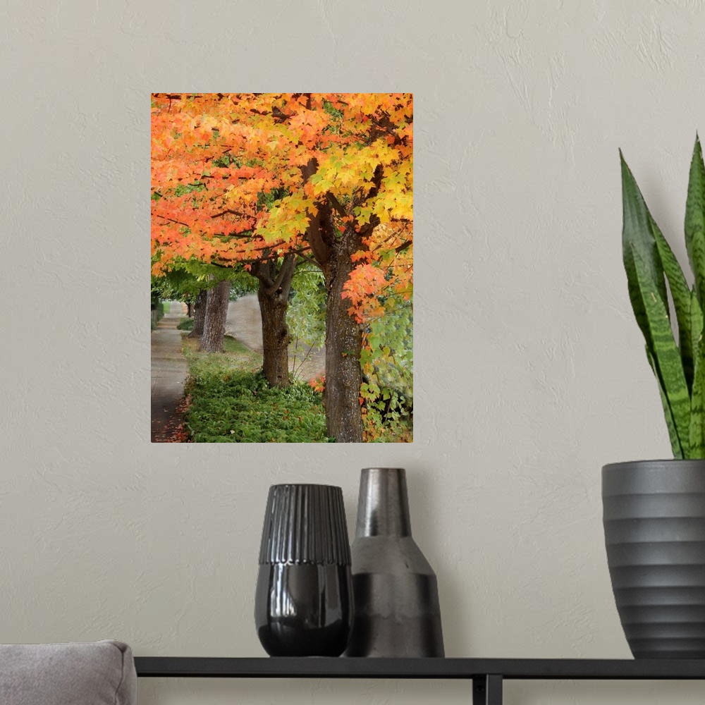 A modern room featuring Fall Maple Fever II