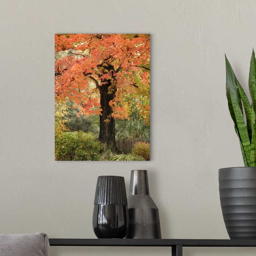 A modern room featuring Fall Maple Fever III