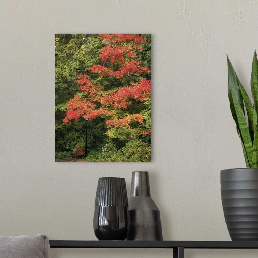 A modern room featuring Fall Maple Fever VIII