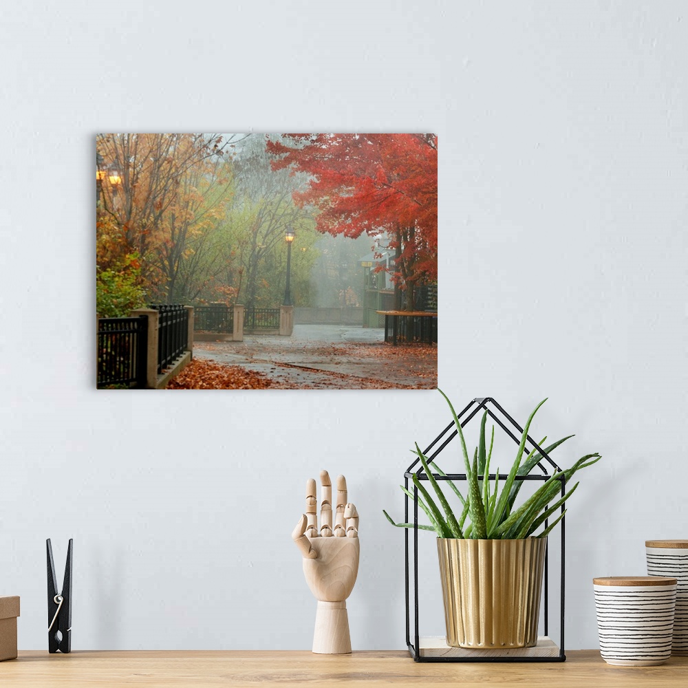 A bohemian room featuring A photograph of a city walkway covered with autumn leaves on a misty day.