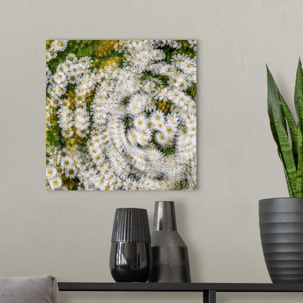A modern room featuring Fanciful Feverfew - A multiple exposure image.