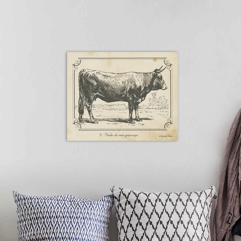 A bohemian room featuring Vintage illustration of a Bull.