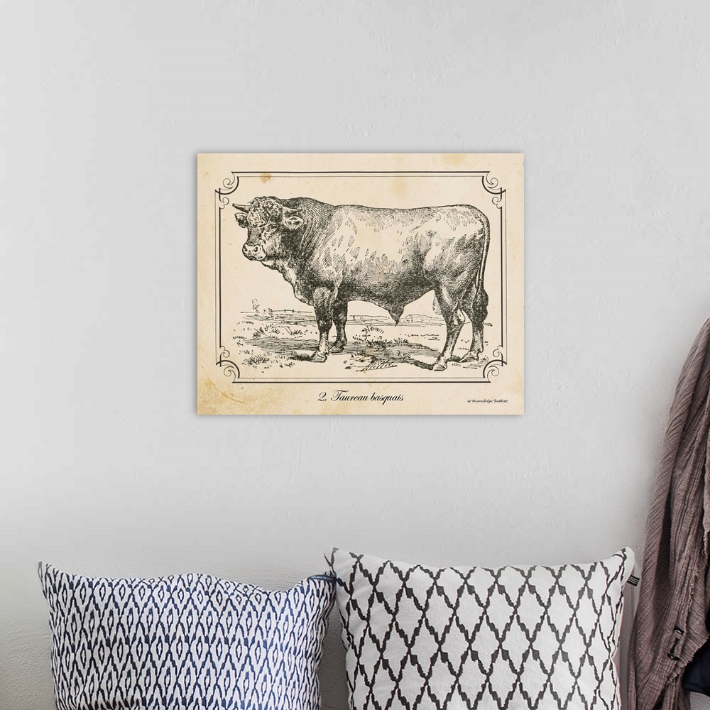 A bohemian room featuring Vintage illustration of a Bull.