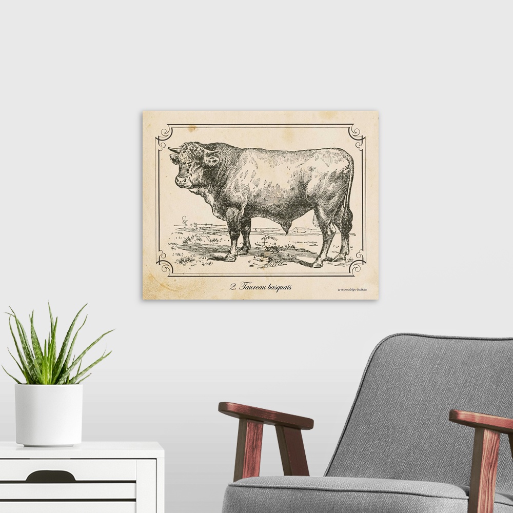A modern room featuring Vintage illustration of a Bull.