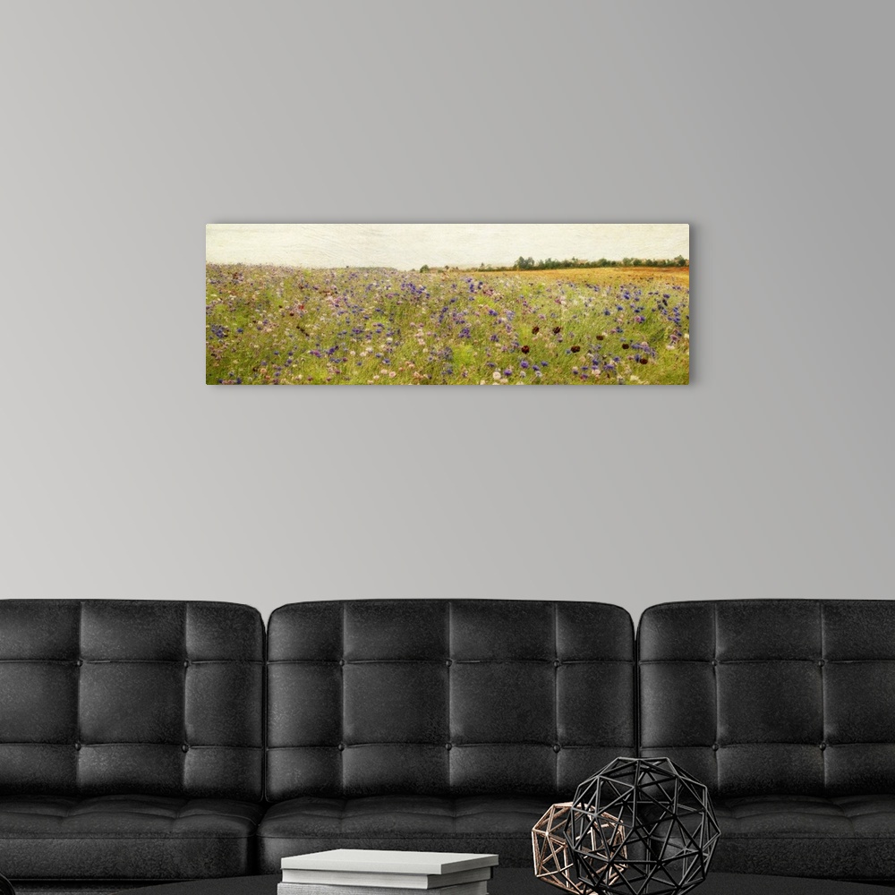 A modern room featuring Giant, panoramic painting of a vast field of wildflowers and tall grasses, beneath a clear sky.