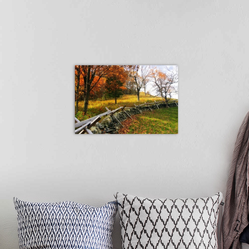 A bohemian room featuring Photograph of low fence line used as a fire wall in fall forest.