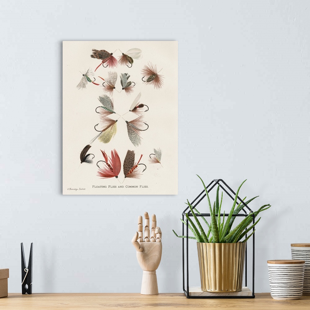 A bohemian room featuring Vintage illustration of fly fishing flies on an off-white background with "Floating Flies and Com...