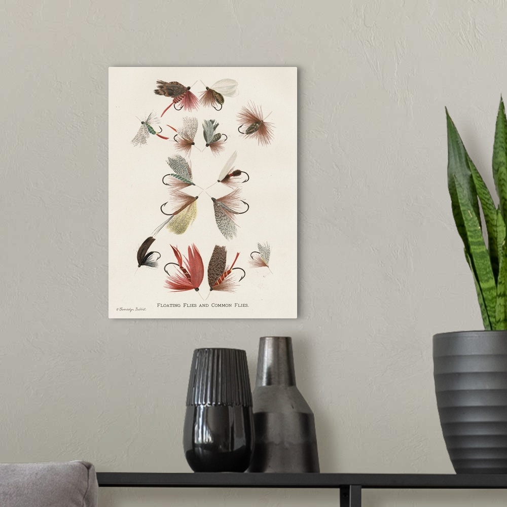 A modern room featuring Vintage illustration of fly fishing flies on an off-white background with "Floating Flies and Com...