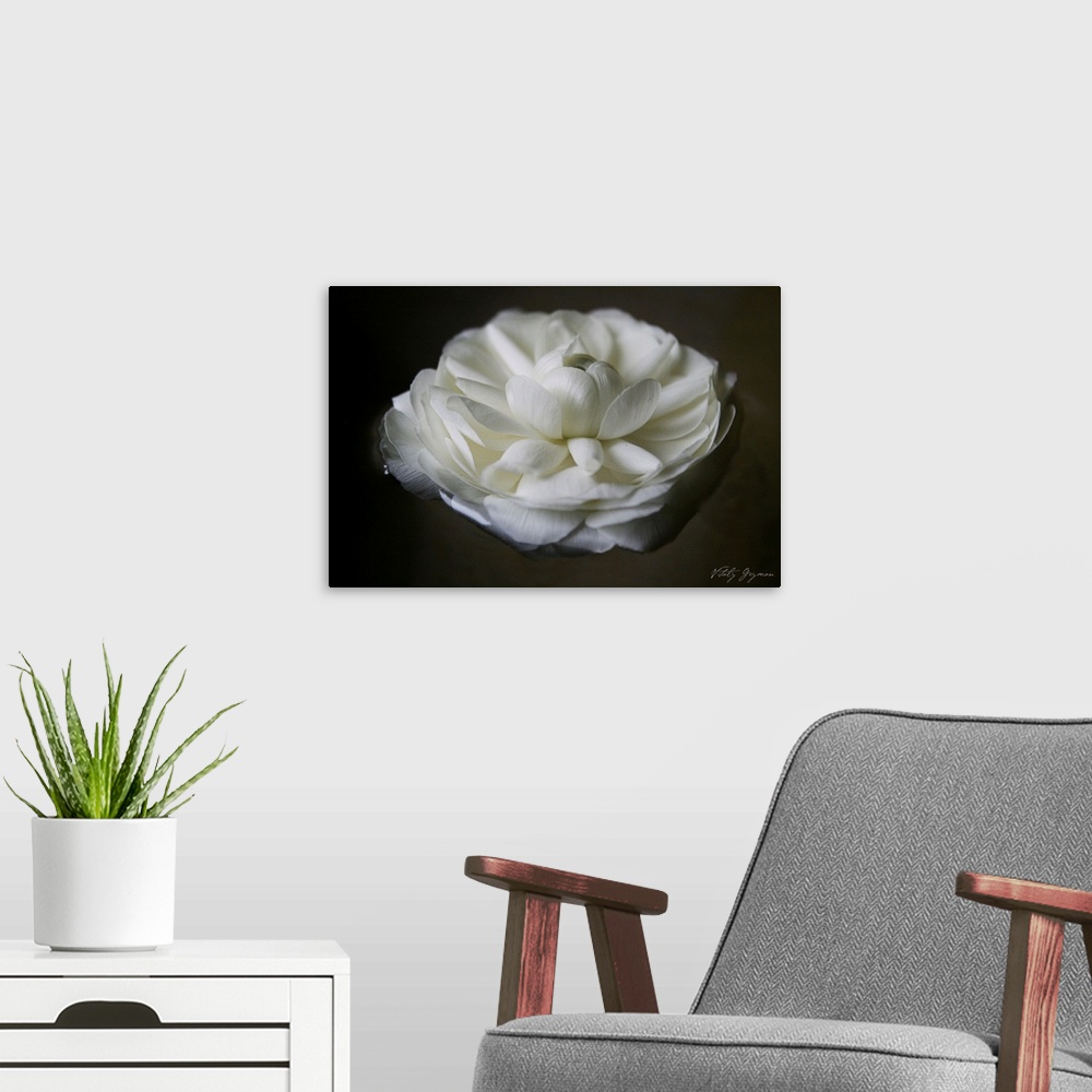 A modern room featuring Floating Ranunculus