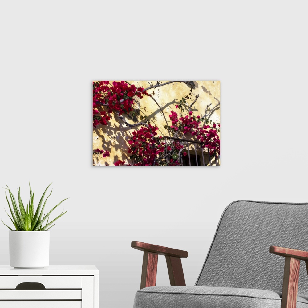 A modern room featuring Photograph of balcony surrounded by flowers and branches.