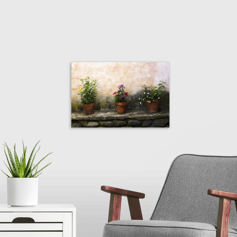 A modern room featuring Picture taken of three flower pots sitting on top a stone bench all with different types of flowe...
