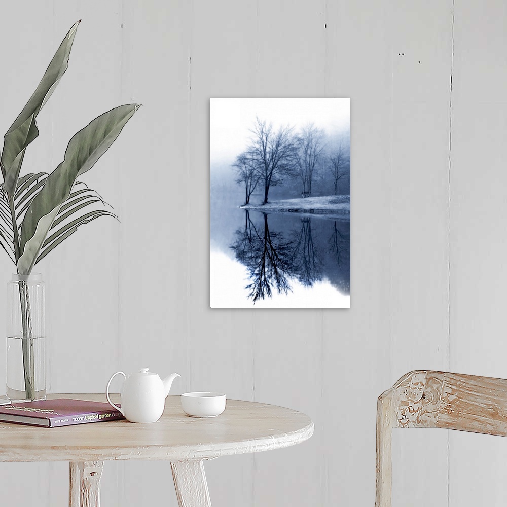 A farmhouse room featuring Bare trees stand near the edge of water and reflect perfectly down in it.