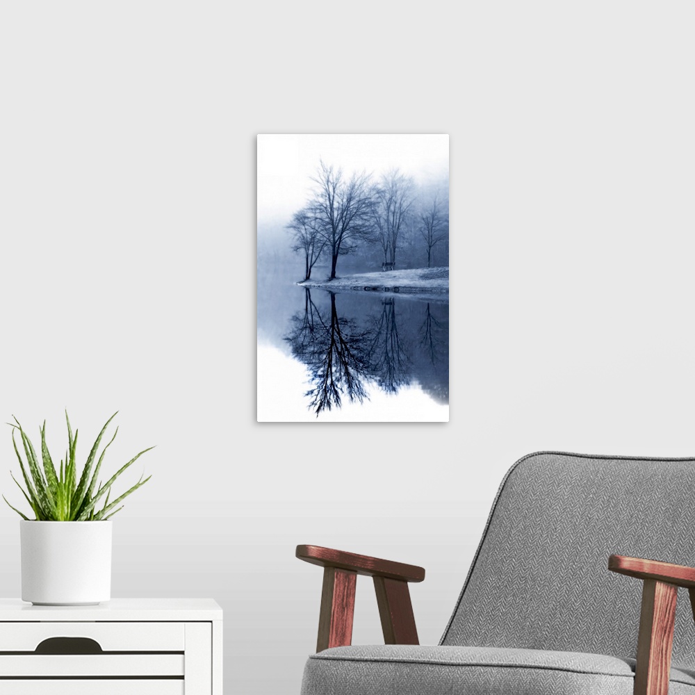A modern room featuring Bare trees stand near the edge of water and reflect perfectly down in it.