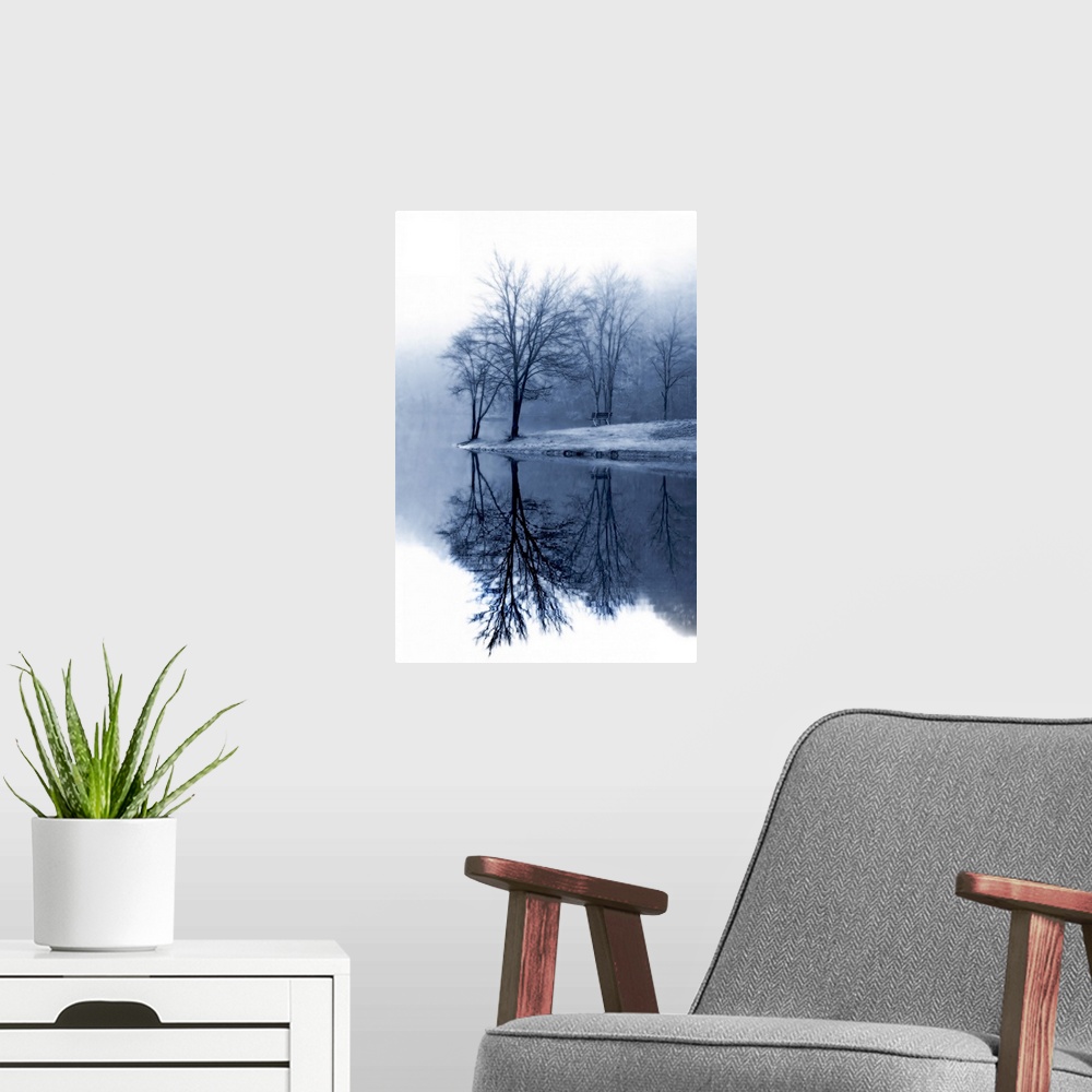A modern room featuring Bare trees stand near the edge of water and reflect perfectly down in it.