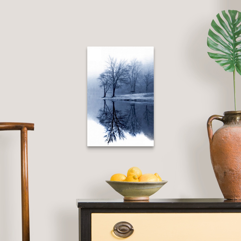 A traditional room featuring Bare trees stand near the edge of water and reflect perfectly down in it.