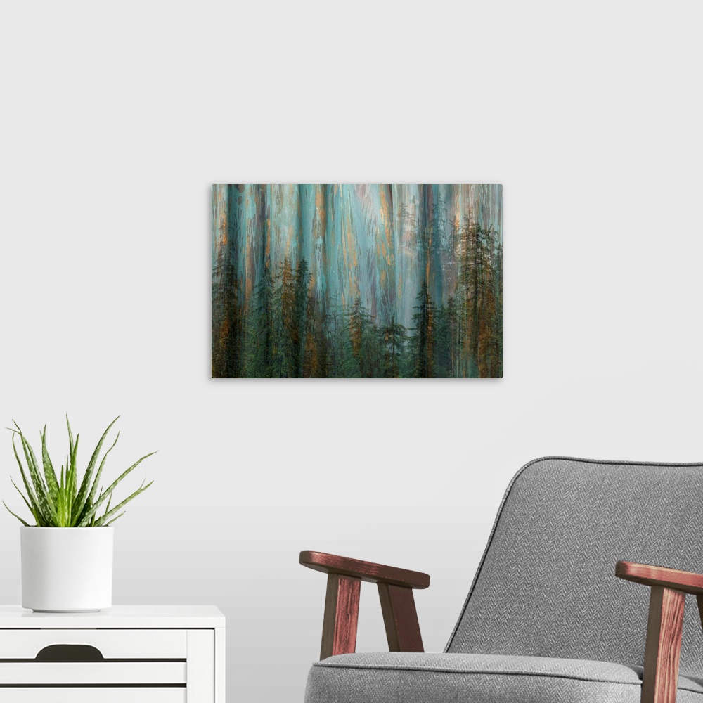 A modern room featuring Forest I