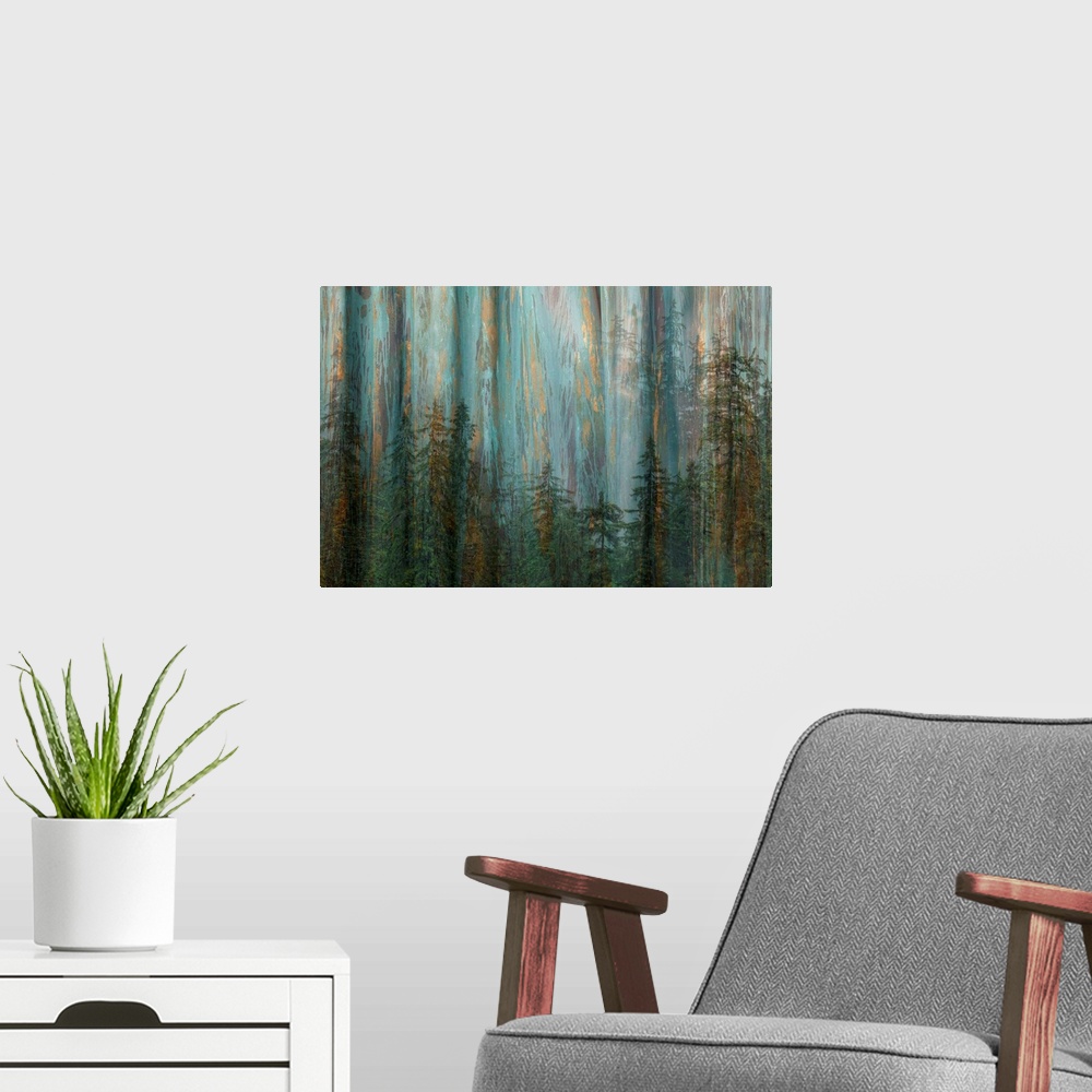 A modern room featuring Forest I