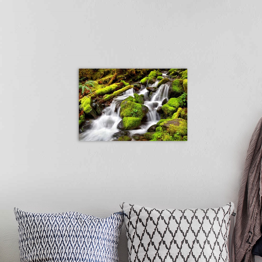 A bohemian room featuring Long exposure photograph of a rocky waterfall lined with bright green moss covered rocks.