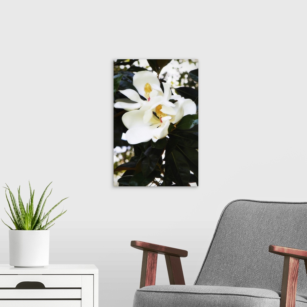 A modern room featuring Fragrant Flower II