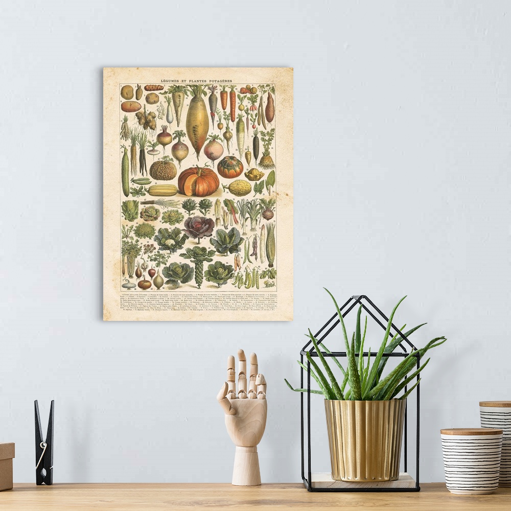 A bohemian room featuring Vintage style chart of labeled vegetables in French.