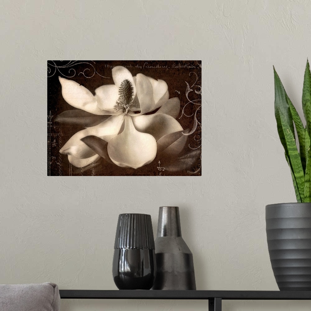 A modern room featuring This decorative accent is a collage created with decorative embellishments laid over a magnolia b...