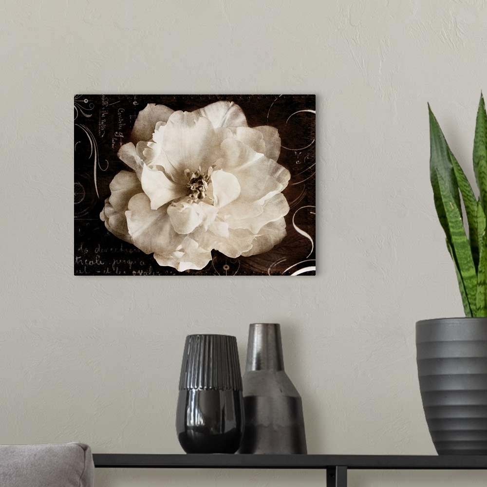 A modern room featuring Decorative accents created by collaging of a photograph of a wild rose with hand writing and orna...