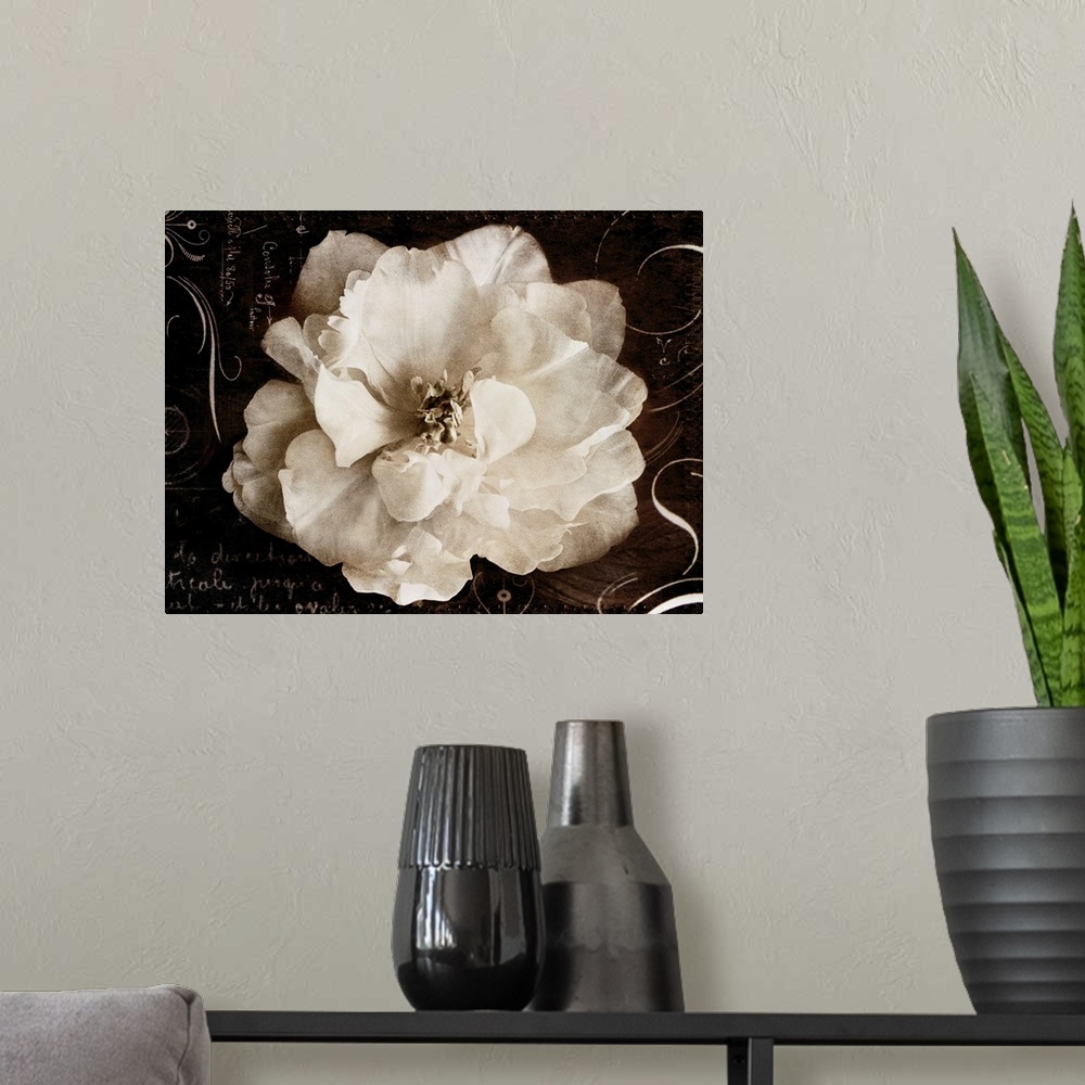 A modern room featuring Decorative accents created by collaging of a photograph of a wild rose with hand writing and orna...