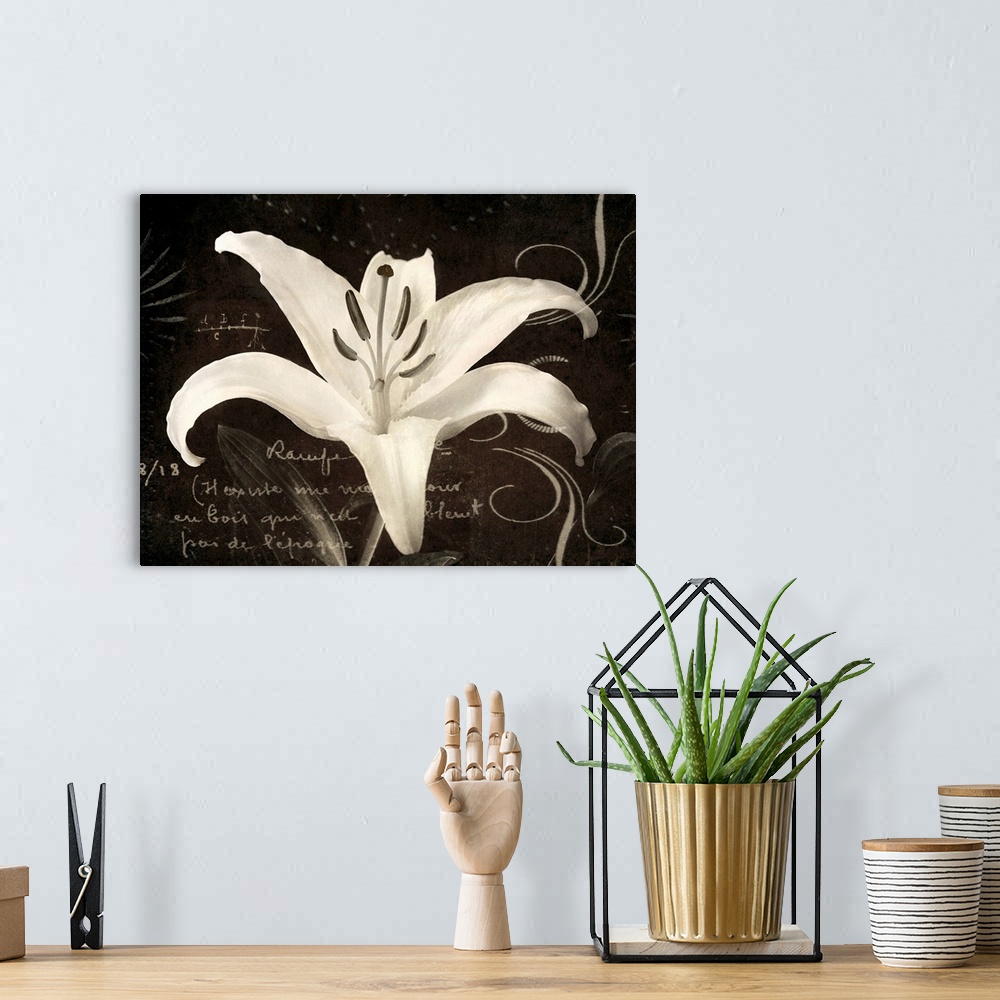 A bohemian room featuring Huge monochromatic floral art incorporates a close-up of a flower surrounded by text and a variet...