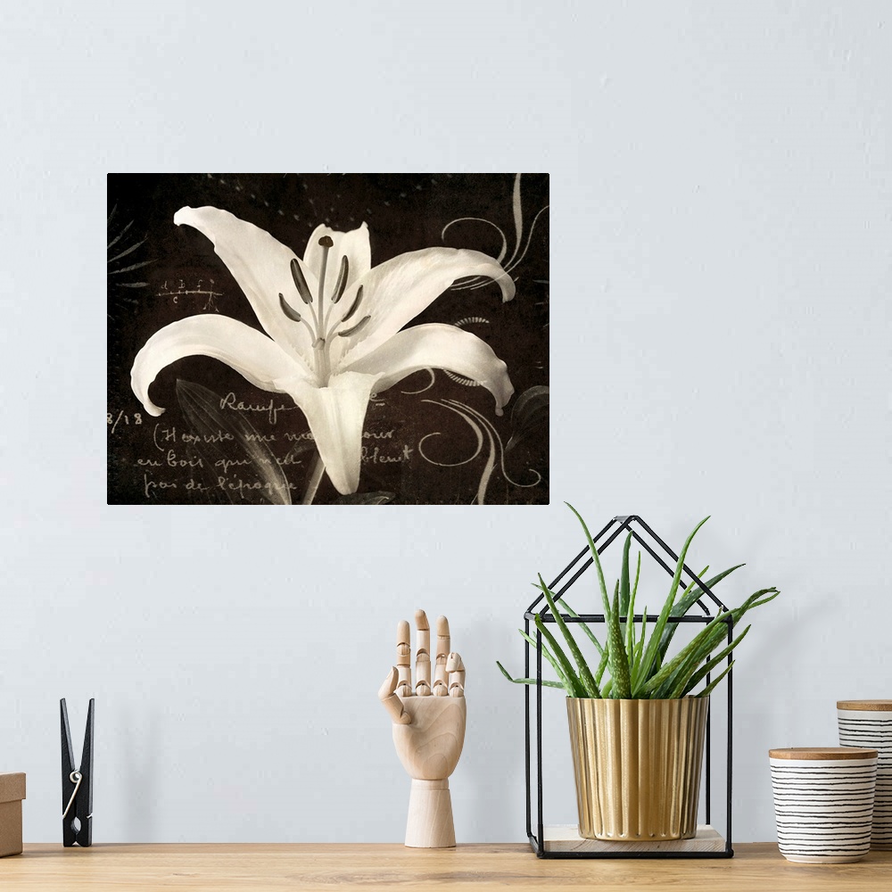 A bohemian room featuring Huge monochromatic floral art incorporates a close-up of a flower surrounded by text and a variet...