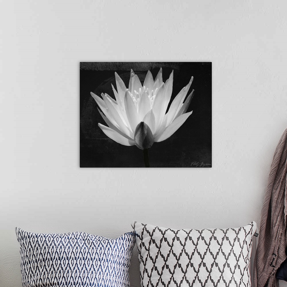 A bohemian room featuring Glowing Lotus I