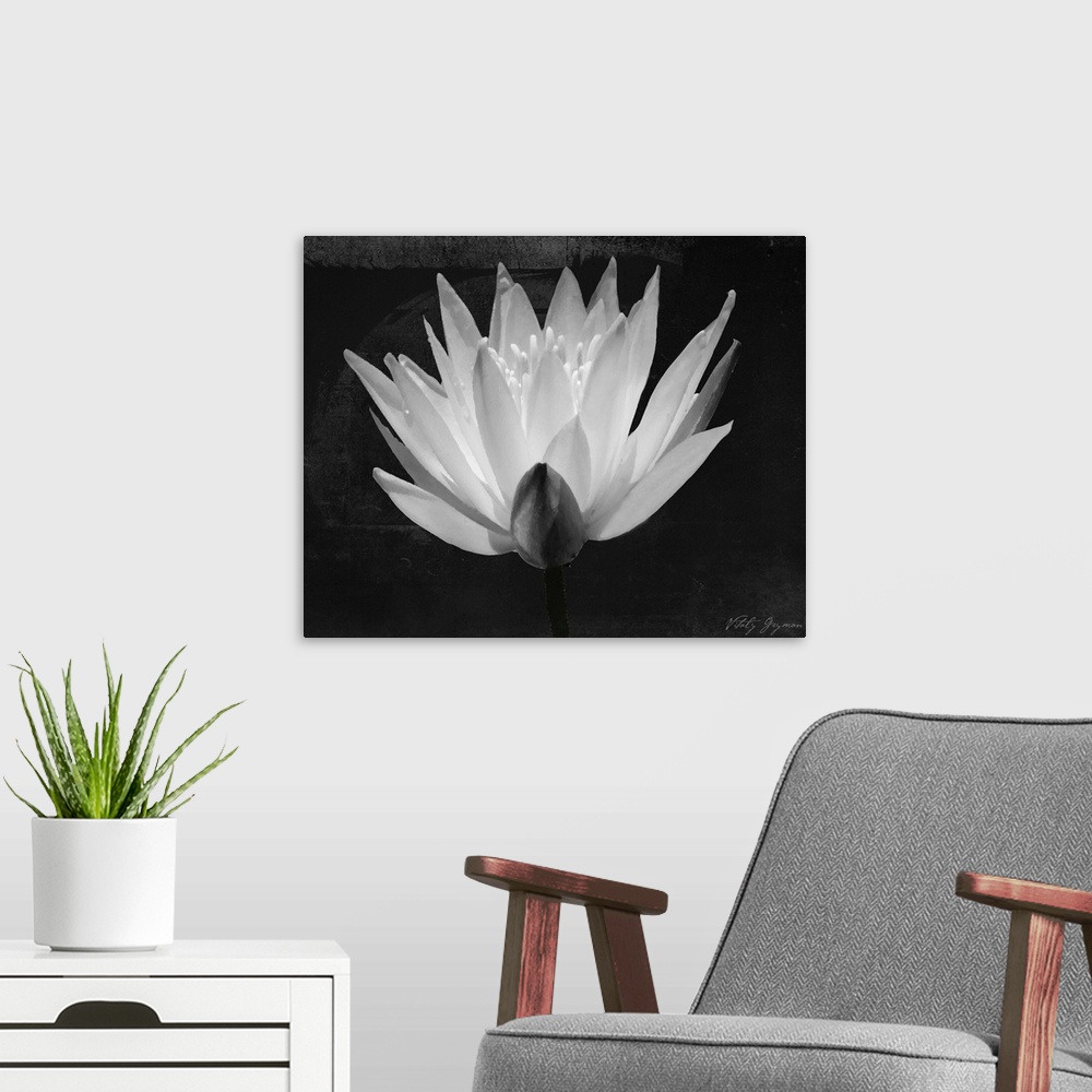 A modern room featuring Glowing Lotus I