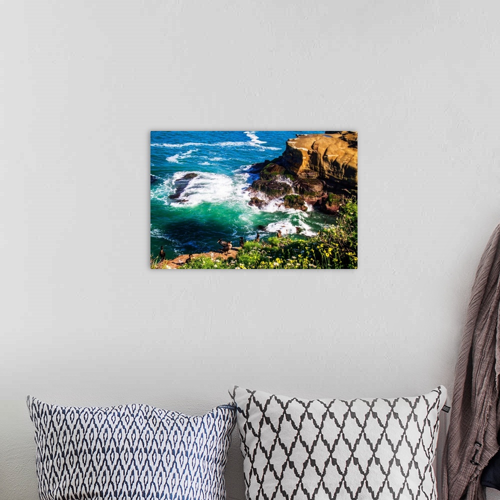 A bohemian room featuring Landscape photograph of waves crashing on rocky cliffs in California with birds in the foreground.