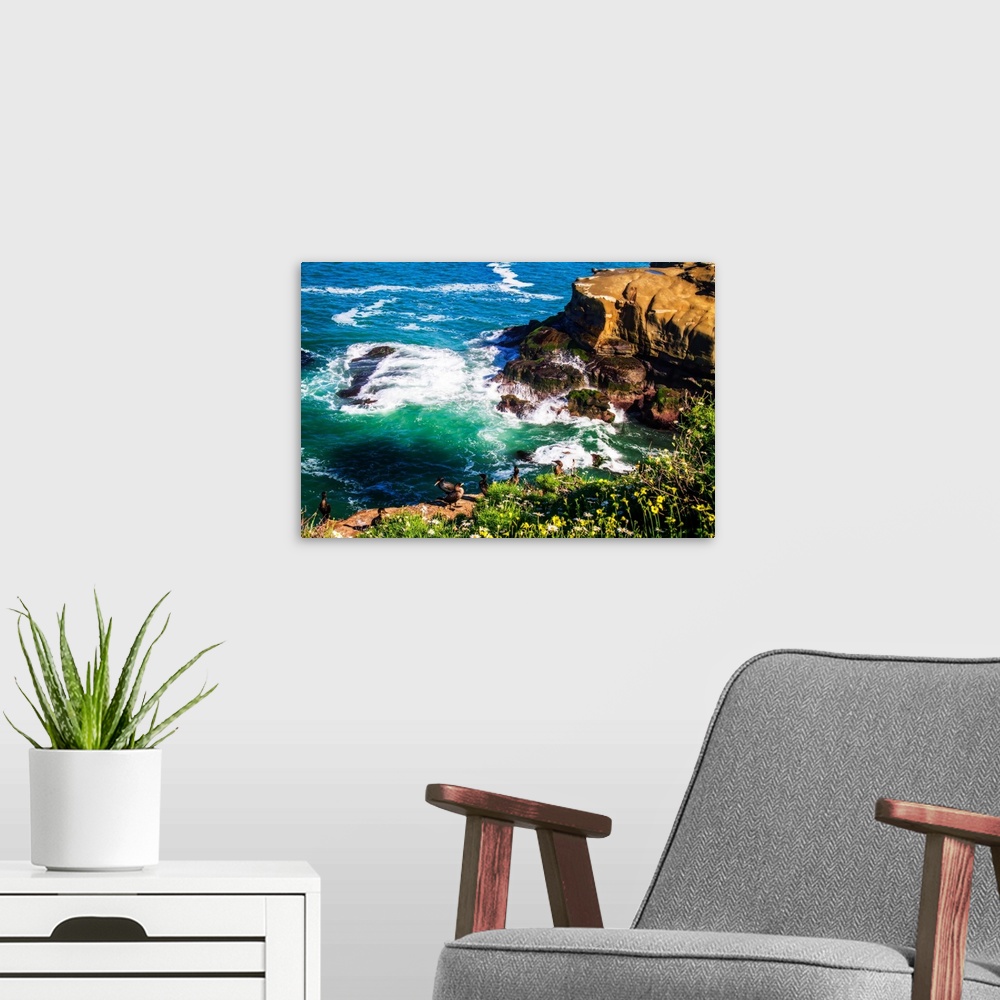 A modern room featuring Landscape photograph of waves crashing on rocky cliffs in California with birds in the foreground.