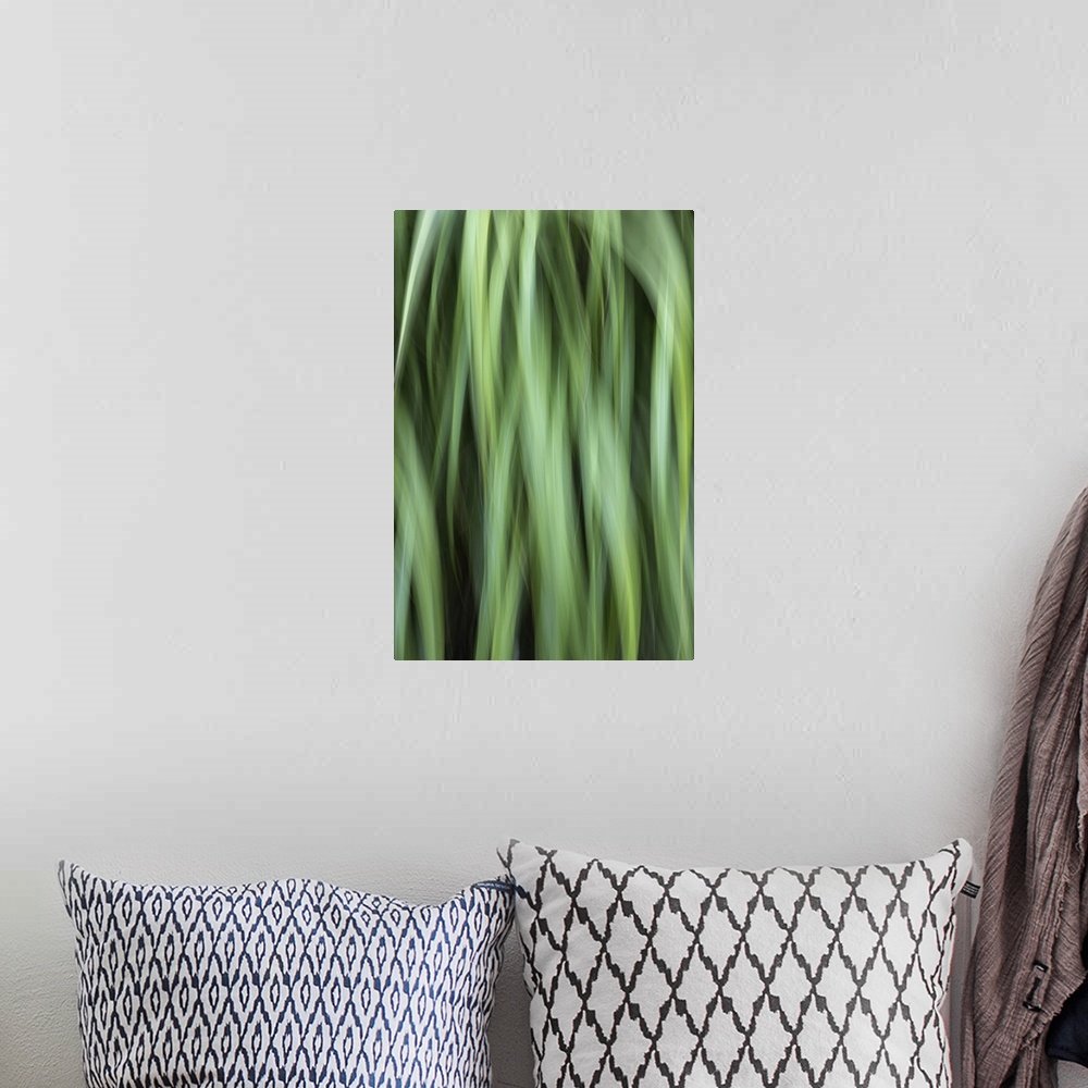 A bohemian room featuring Grass Abstract